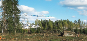 NOS PRESTATIONS EN ARBORICULTURE